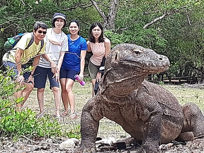 komodo boat tour